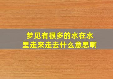 梦见有很多的水在水里走来走去什么意思啊