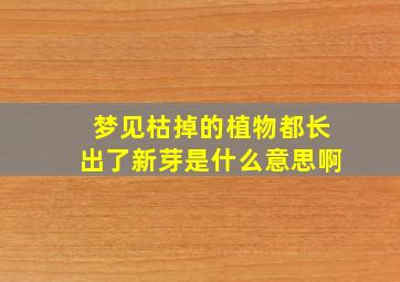 梦见枯掉的植物都长出了新芽是什么意思啊