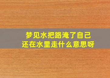 梦见水把路淹了自己还在水里走什么意思呀