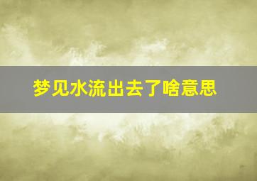 梦见水流出去了啥意思