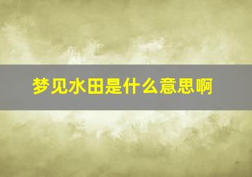 梦见水田是什么意思啊