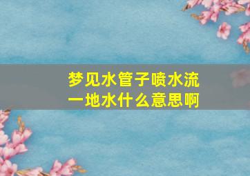 梦见水管子喷水流一地水什么意思啊