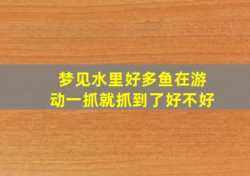 梦见水里好多鱼在游动一抓就抓到了好不好