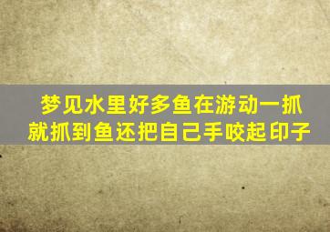 梦见水里好多鱼在游动一抓就抓到鱼还把自己手咬起印子