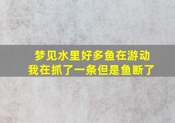 梦见水里好多鱼在游动我在抓了一条但是鱼断了