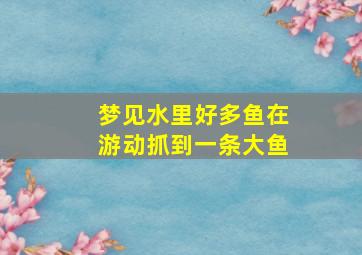 梦见水里好多鱼在游动抓到一条大鱼