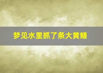 梦见水里抓了条大黄鳝