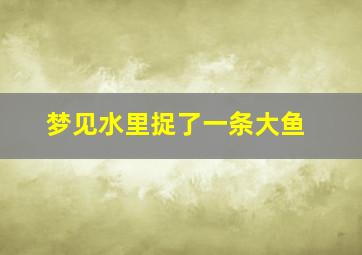 梦见水里捉了一条大鱼