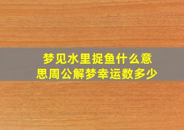 梦见水里捉鱼什么意思周公解梦幸运数多少