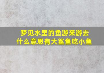 梦见水里的鱼游来游去什么意思有大鲨鱼吃小鱼