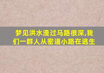 梦见洪水漫过马路很深,我们一群人从密道小路在逃生