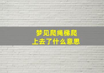 梦见爬绳梯爬上去了什么意思