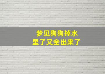 梦见狗狗掉水里了又全出来了