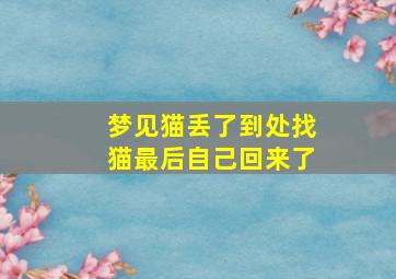 梦见猫丢了到处找猫最后自己回来了