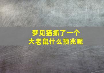 梦见猫抓了一个大老鼠什么预兆呢