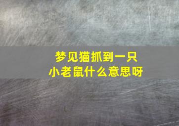 梦见猫抓到一只小老鼠什么意思呀