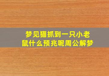 梦见猫抓到一只小老鼠什么预兆呢周公解梦