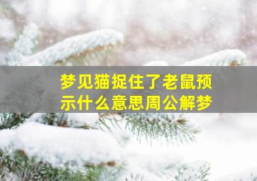 梦见猫捉住了老鼠预示什么意思周公解梦