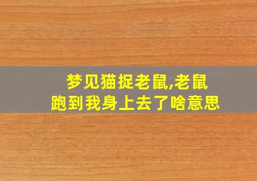 梦见猫捉老鼠,老鼠跑到我身上去了啥意思