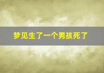 梦见生了一个男孩死了