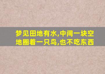 梦见田地有水,中间一块空地圈着一只鸟,也不吃东西