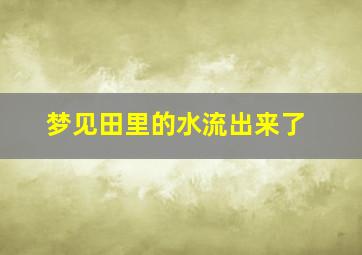 梦见田里的水流出来了