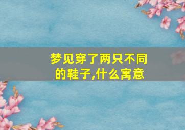 梦见穿了两只不同的鞋子,什么寓意