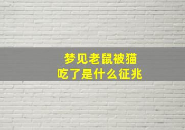 梦见老鼠被猫吃了是什么征兆