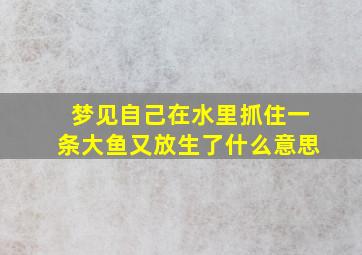 梦见自己在水里抓住一条大鱼又放生了什么意思