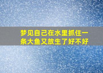 梦见自己在水里抓住一条大鱼又放生了好不好