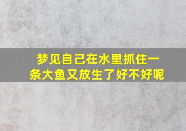 梦见自己在水里抓住一条大鱼又放生了好不好呢