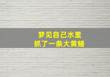 梦见自己水里抓了一条大黄鳝