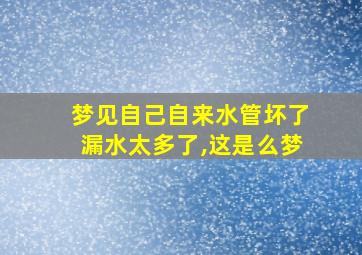 梦见自己自来水管坏了漏水太多了,这是么梦