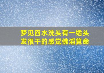 梦见舀水洗头有一绺头发很干的感觉佛滔算命