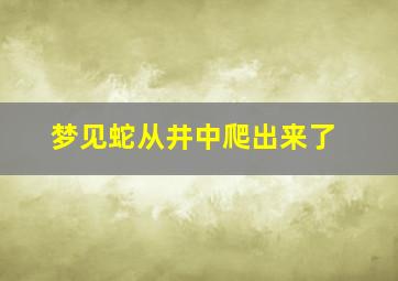 梦见蛇从井中爬出来了