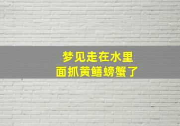 梦见走在水里面抓黄鳝螃蟹了