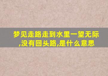 梦见走路走到水里一望无际,没有回头路,是什么意思