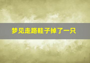 梦见走路鞋子掉了一只