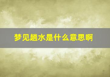 梦见趟水是什么意思啊