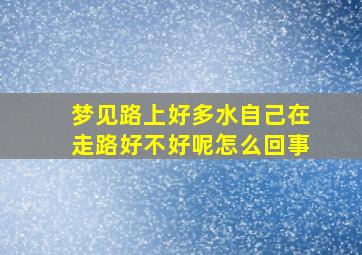 梦见路上好多水自己在走路好不好呢怎么回事