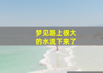 梦见路上很大的水流下来了