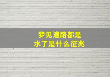 梦见道路都是水了是什么征兆