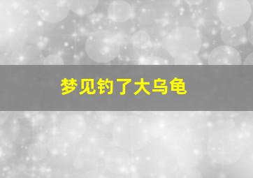 梦见钓了大乌龟