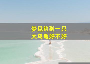 梦见钓到一只大乌龟好不好