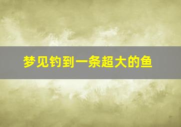 梦见钓到一条超大的鱼