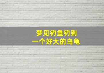 梦见钓鱼钓到一个好大的乌龟