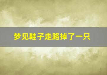 梦见鞋子走路掉了一只