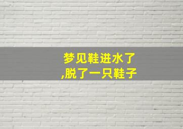 梦见鞋进水了,脱了一只鞋子