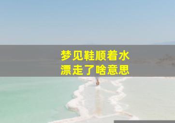 梦见鞋顺着水漂走了啥意思