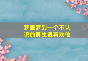 梦里梦到一个不认识的男生很喜欢他